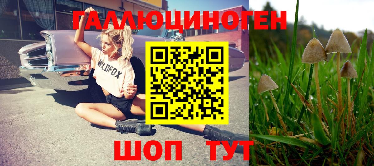 Новоалександровск  Галлюциногенные грибы MAGIC MUSHROOMS  Вход с VPN 